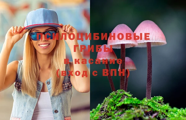 эйфоретик Баксан