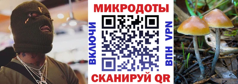 Галлюциногенные грибы ЛСД  blacksprut рабочий сайт  Ахтырский 